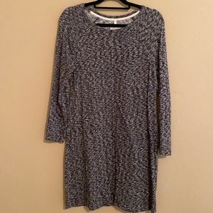 Loft Lou & Gray knit dress